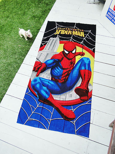 ���ѥ������ޥ󡡥ӡ���������