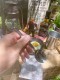 ���ѥʥ��ס��󡡡�L�������ˡ�ñ�ʡ������������㸩���ԡ����˼���ġ��ץ����ڥå���PROSPEC