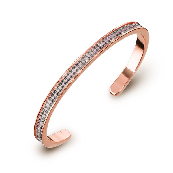 CP005-PGD 2ϢХ󥰥PGD