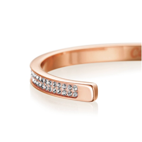 CP005-PGD 2ϢХ󥰥PGD