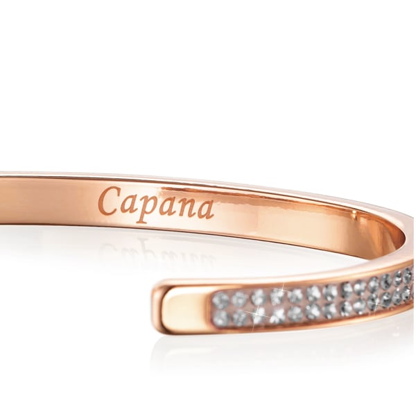 CP005-PGD 2ϢХ󥰥PGD