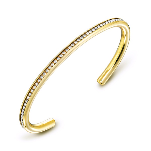 CP022-GLD 1Ϣ�Х󥰥��GLD��