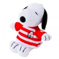 �ڥ��̡��ԡ��� �饰�ӡ� ������ɽ ����ܥ��å� �̤������ �� ������� ������������