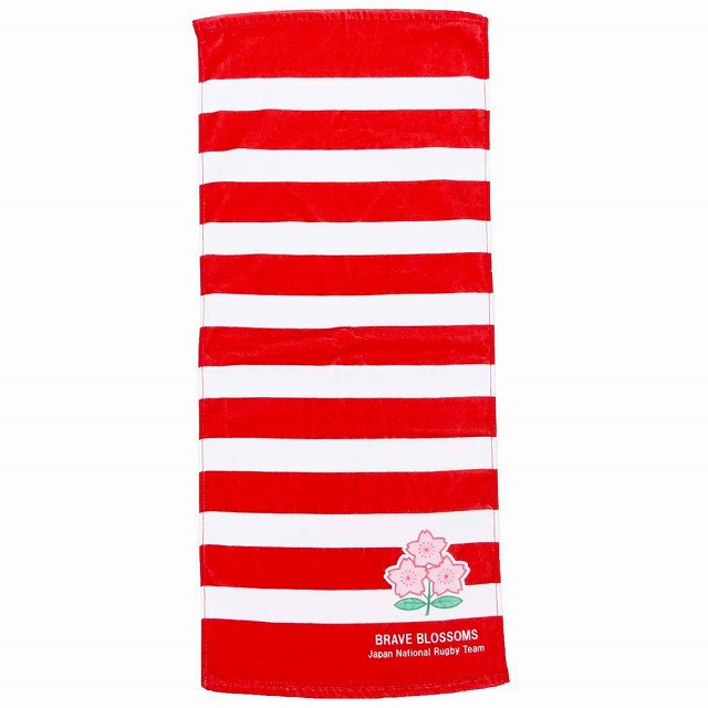 ڥѥ 饰ӡ ɽ ե å ֥쥤֥֥åॺ 󥯥å ץ