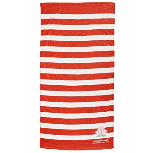 ڥѥ 饰ӡ ɽ Х å ֥쥤֥֥åॺ 󥯥å ץ