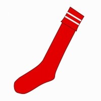 饰ӡ ȥå(ӥå/åɡߥۥ磻2)