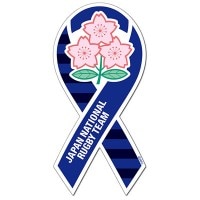 �ڥ���ѥ�� �饰�ӡ� ������ɽ ��ܥ�ޥ��ͥå� �� �֥쥤�֥֥��å��ॺ RGL-02-B