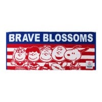 �ڥ��̡��ԡ��� �饰�ӡ� ������ɽ ����ܥ��å� ���㥬���ɥե����������� 58999