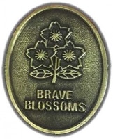 �饰�ӡ�������ɽ �ԥ�Хå�(�������)  RJ33564