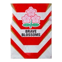 ���ꥢ�ե�����2�祻�å� �饰�ӡ�������ɽ RJ34146