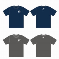 �ű��饰�ӡ��������� T����ġ�3L��5L��