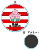 �饰�ӡ� ������ɽ �������ޥ��ͥå� 1st���㡼�� �֥쥤�֥֥��å��ॺ RJ35518