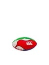 CANTERBURY 󥿥٥꡼ ߥ 饰ӡܡ ˥塼 MINI BALL 饰ӡ  AA04755