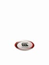 CANTERBURY 󥿥٥꡼ ߥ˥ܡ MINI BALL Ҷ 饰ӡ  AA04836
