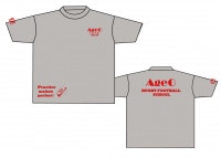 �����饰�ӡ��������� �ԥ����(100��3L������)