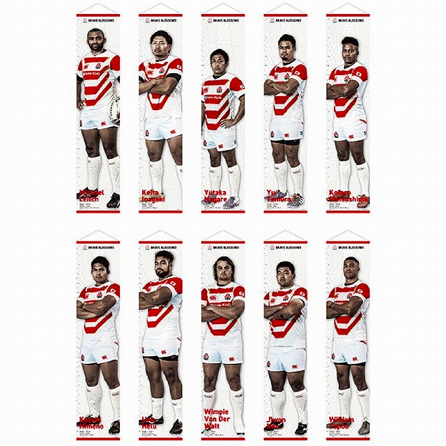 ラグビー日本代表　直筆サイン入りユニフォーム ラグビー日本代表 直筆サイン入りユニフォーム 2025年最新