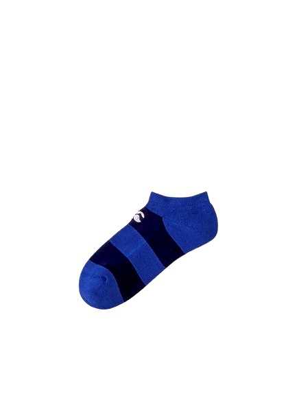 CANTERBURY 󥿥٥꡼ ǥɥ 󥯥 å DEODORANT ANKLE SOCKS 饰ӡ å եåȥ å   AS03978