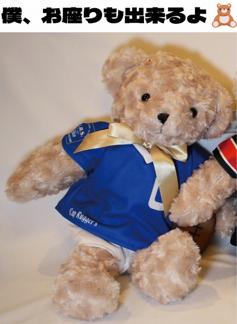 ���¥饰�ӡ���������ߥ˥�����  ������ᥤ�ȥ٥��ʤ̤������  ��:��35cm�߽�:��50cm��