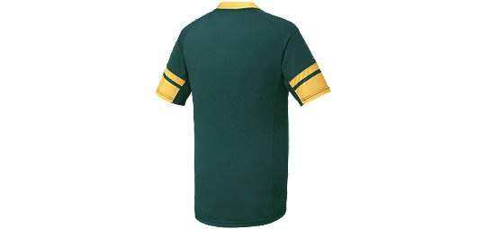 ��ASICS�� �����å��� �饰�ӡ� ���㡼�� ���ץ�󥰥ܥ��� ��������ƥ��å����㡼�� 2015 SPRINGBOKS �ڥ��ɥ��å׻��͡�