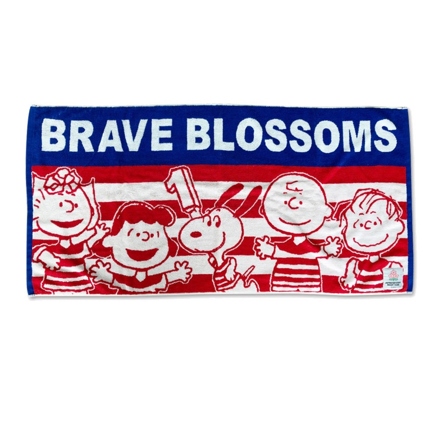 �ڥ��̡��ԡ��� �饰�ӡ� ������ɽ ����ܥ��å� ���㥬���ɥХ������� 56993