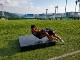 ���å���ޥå� �׷���� ���� ���� �ޤꤿ���� �饰�ӡ� ����ե� ���� RUM