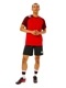 CANTERBURY ���󥿥٥꡼ �ץ饯�ƥ��� �ƥ��� PRACTICE TEE ��� T����� Ⱦµ RG324502