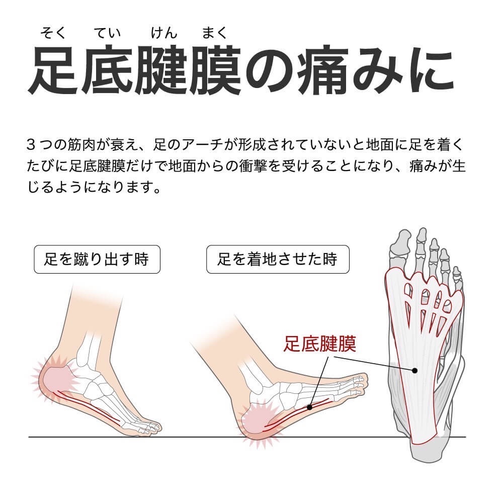 Activital PRO ƥХ ץ ĶΩ եåȥݡ ⵡǽ ݡ å ߤ ­ Ǳ ͽ ȿ