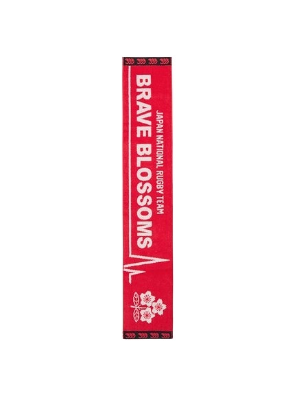 CANTERBURY 󥿥٥꡼ ѥ ޥե顼 饰ӡ ɽ JAPAN ݡå AA025646S