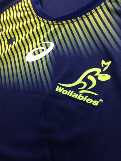 ��ASICS�� �����å��� ���ӡ��� �ȥ졼�˥� ���㡼�� �饰�ӡ����㡼�� RWC2015 �饰�ӡ�