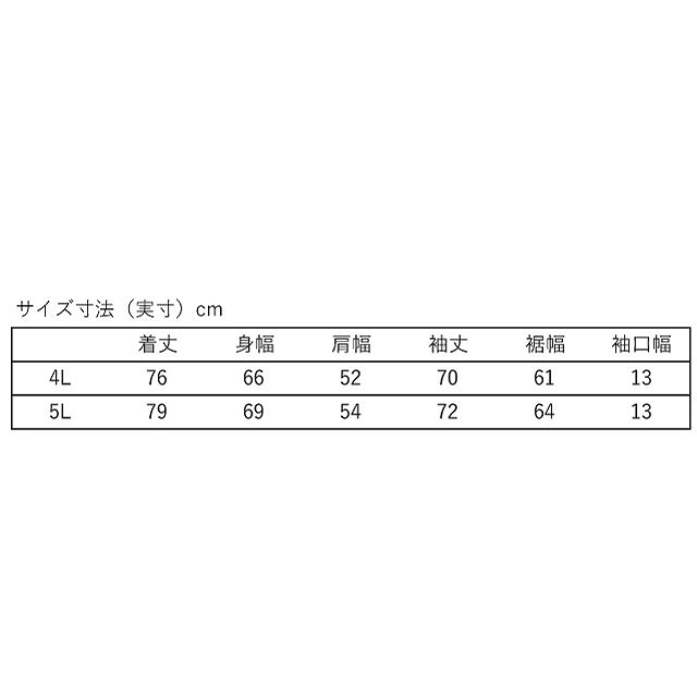 CANTERBURY ���󥿥٥꡼ ������ץ饹 ���եƥå��������饤�� ���롼�ͥå� R+ D.A.F TEC AIR LIGHT CREW NECK ��˥��å��� �礭�������� RP44568B