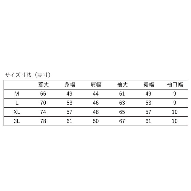 CANTERBURY ���󥿥٥꡼ ���� ���꡼�� �ƥ�������� L/S T-SHIRT ��˥��å��� �ȥåץ� RA44619