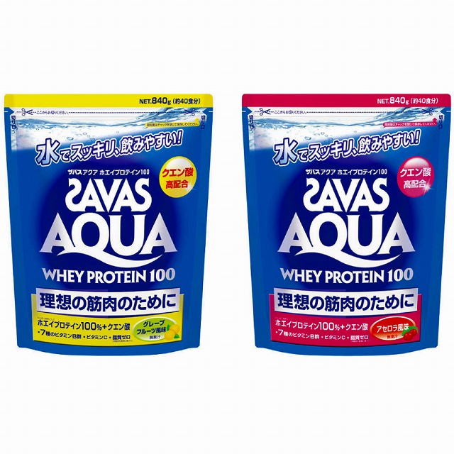 ZAVAS Х  ۥ ץƥ 100 840g 40ʬ  졼ץե롼 