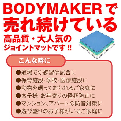 ��BODYMAKER�� ��С����֥른�祤��ȥޥå� 2.0