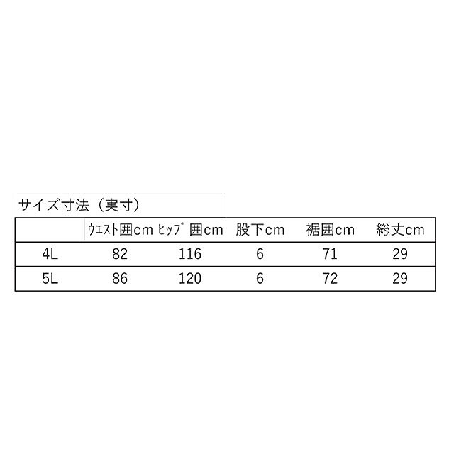 CANTERBURY 󥿥٥꡼ 饰ӡ硼 եå RUGBY SHORTS FIT 饰ӡ ѥ 礭 RG24513B