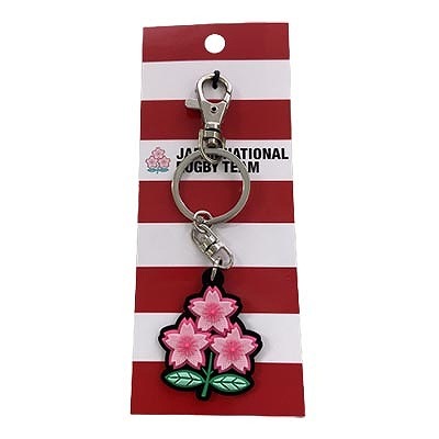 �饰�ӡ�������ɽ 3D�ù� ������� �����ۥ���� ���ݡ��������å� RJ53296