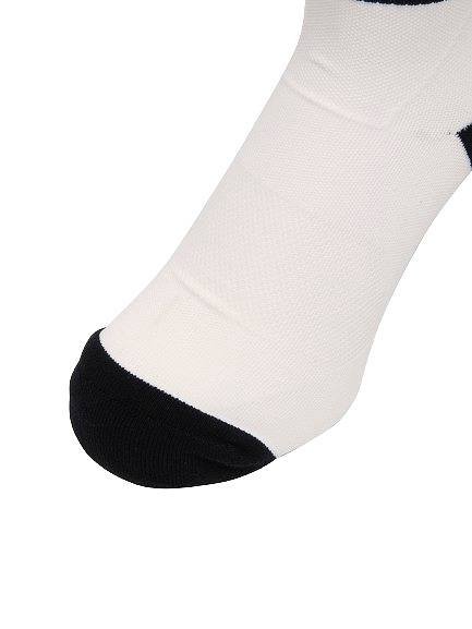CANTERBURY ���󥿥٥꡼ ���㥬���� ���ȥå��� ���å��� SOCKS �饰�ӡ� ���å��� �եåȥ��� ���� ��� AS04546