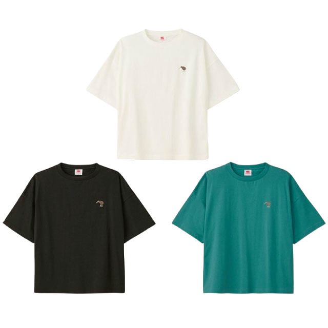 CANTERBURY カンタベリー ウイメンズ ボックス ティーシャツ