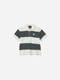 CANTERBURY ���󥿥٥꡼ ���å� S/S �饰�ӡ����㡼�� �饰�ӡ� �����奢�� �ȥåץ� Ⱦµ RSJ32636