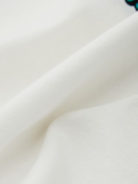 CANTERBURY ���󥿥٥꡼ ���å� S/S �ƥ��� WHITI TE RA HI �饰�ӡ� �����奢�� �ȥåץ�  Ⱦµ RSJ32639