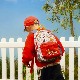 adidas ���ǥ����� LK DISNEY MM �Хå��ѥå� �ǥ����ˡ� �ߥå����ޥ��� ���å����å� ���å� ����˥� KOM38