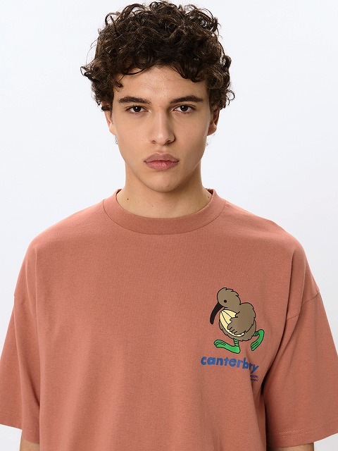 CANTERBURY ���󥿥٥꡼ S/S �ƥ��� ������ �饰�ӡ� �����奢�� �ȥåץ� Ⱦµ RSU32617