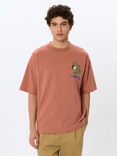 CANTERBURY ���󥿥٥꡼ S/S �ƥ��� ������ �饰�ӡ� �����奢�� �ȥåץ� Ⱦµ RSU32617