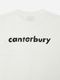 CANTERBURY ���󥿥٥꡼ S/S �ƥ��� ������ �饰�ӡ� �����奢�� �ȥåץ� Ⱦµ RSU32617