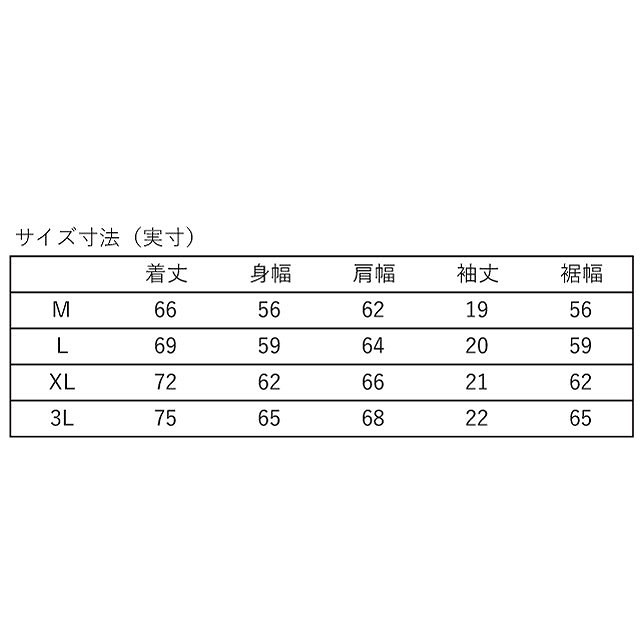 CANTERBURY 󥿥٥꡼ ѥ 硼 ꡼ ץꥼ ƥ ˥å ȥåץ Ⱦµ 饰ӡ CCC RA325637S