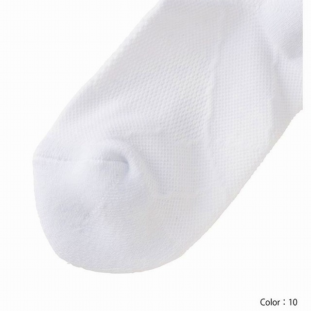 CANTERBURY 󥿥٥꡼ ˥ 㥫 ȥå 饰ӡ å ASJ03306