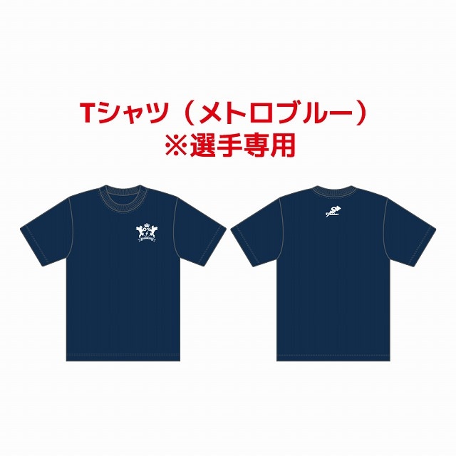 湘南シーレックス プラクティスTシャツ TRAIN GRAFFITI AVIREX T-SHIRT / トレイン グラフィティ