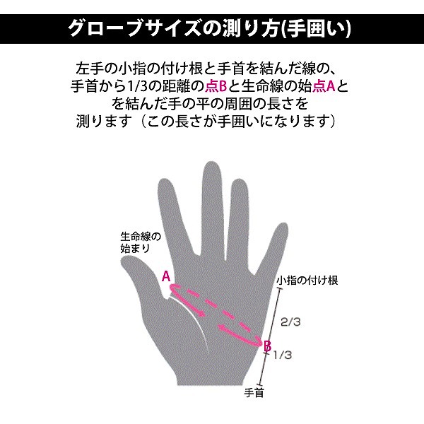 CANTERBURY 󥿥٥꡼ å ˥   Ҷ AA03921