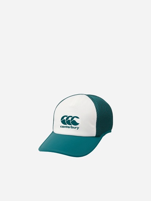 CANTERBURY ���󥿥٥꡼ ����˥� DUAL WAVY ����å� �饰�ӡ� ˹�� RTJC2623