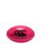 CANTERBURY ���󥿥٥꡼ ���ե� �饰�ӡ��ܡ��� �饰�ӡ� ����˥� ���å� AA04548
