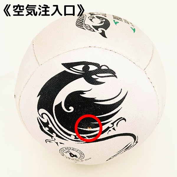 ����ե��� �ѥ��ᥤ�� �����ѥ��ȥ졼�ʡ� 4��� �饰�ӡ��ܡ��� �ץ饯�ƥ����ܡ��� ������ ������